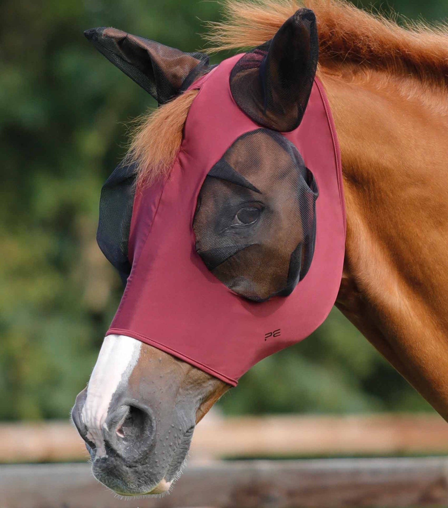 Premier Equine Comfort Tech Lycra Fly Mask Wine • The Feed Shed